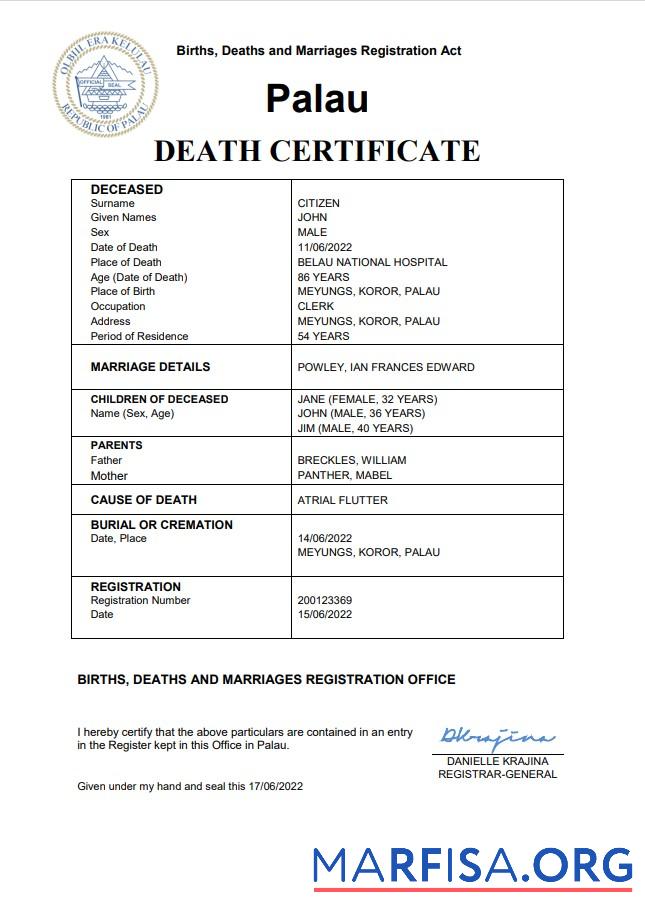 Downloadable Palau vital record death certificate Word and PDF template